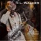 Pocket Change - R.L. Walker lyrics