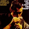 Andy J. Forest Band - Coffee Blues