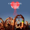 Can You Feel the Vibe (20 Ibiza House Classics)