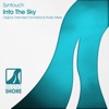 Into the Sky - Single