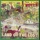 Wipers-Land of the Lost Wipers-Land of the Lost
