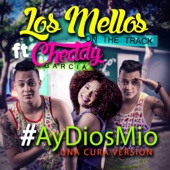 Ay Dios Mio (feat. Cheddy) [Una Cura Version] artwork