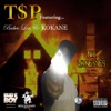 No Witnesses (feat. Kokane & Babee Loc) - Single, 2015