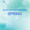 Blue Feather Records - Spring 2015 - Various Artists