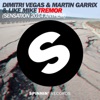 Martin Garrix - Tremor