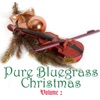 Pure Bluegrass Christmas, Vol. 2