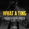 What a Ting (feat. Parly B) - Fleck lyrics