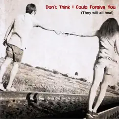Don't Think I Could Forgive You (They Will All Heal) - Single by Robin Berrygold album reviews, ratings, credits