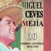 30 corridos y rancheras mexicanos, 2015