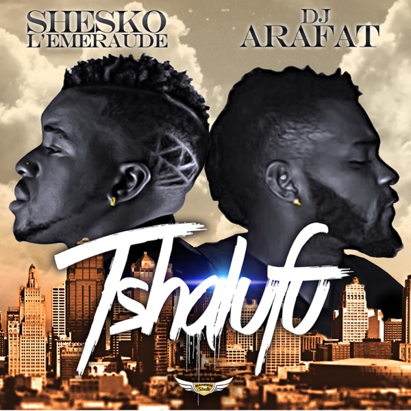 Tshalufu (feat. DJ Arafat) - Single - Shesko l'emeraude