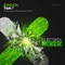 Triple 7 (Andrew Lias & Alfonso Mosca Remix) - S.H.O.K.K. lyrics