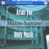 Orchestra Sinfonica Moldava - Le nozze di Figaro, K. 492: "Voi che sapete" (Instrumental Version)