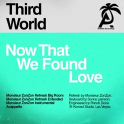 Now That We Found Love (Monsieur ZonZon Remixes) - EP - Third World