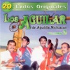 20 Éxitos Originales - Los Aguilar De La Águila Michoacán Vol.3