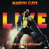 Marvin Gaye - Medley II (Live)