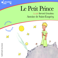 Antoine de Saint-Exupéry - Le Petit Prince artwork