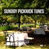 Sunday Picknick Tunes, Vol. 1 (Smooth and Jazzy Weekend Feeling), 2015