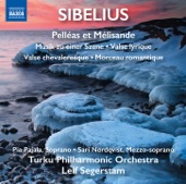 Sibelius: Pelleas and Melisande Suite, Musik zu einer Szene & 3 Pièces pour orchestre artwork