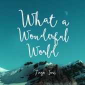 What a Wonderful World artwork