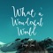 What a Wonderful World artwork