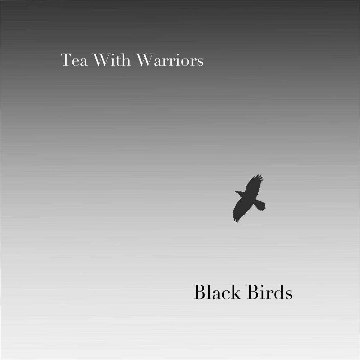 Listen the birds. Blackbird обложка. Чёрные птицы песне. НАУ черные птицы альбом. Песня Blackbird Moon.