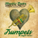 Trumpets (Reggae Remix) - Mystic Roots Band