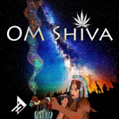 Om Shiva artwork