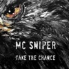 Take the Chance - Single