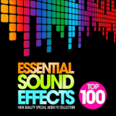 Essential Sound Effects Top 100 (High Quality Special Audio FX Collection) - Carmichael & Woods