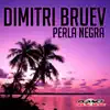 Stream & download Perla Negra - Single