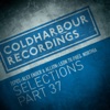 Markus Schulz Presents Coldharbour Selections Part 37 - Single