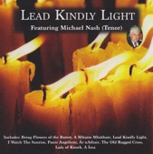 Lead Kindly Light artwork