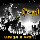 Akala - Murder Runs the Globe
