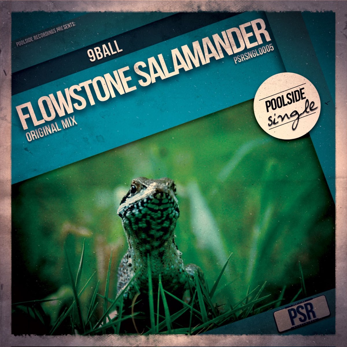 Саламандра слушать. Salamander (Deluxe Edition). Слушать саламандра песню саламандра. Слушать песню саламандра.
