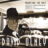 David Olney - You Never Do