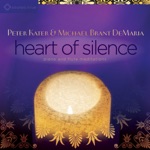Peter Kater & Michael Brant DeMaria - Holding Space