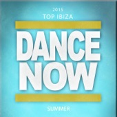 2015 Top: Ibiza Dance Now Summer (100 Songs Now House Elctro EDM Minimal Progressive Extended Tracks for DJs and Live Set) artwork
