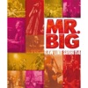 Mr. Big - Green-Tinted Sixties Mind