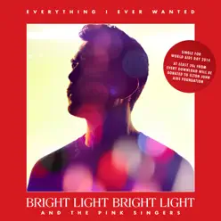 Everything I Ever Wanted - Single - Bright Light Bright Light