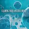 Calming Your Anxious Mind - Anti Stress Relax Music album lyrics, reviews, download