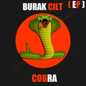Cobra (Miami Ambiance Mix) artwork