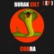 Cobra (Miami Ambiance Mix) artwork