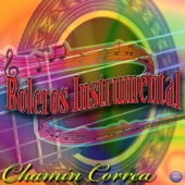 Boleros Instrumental artwork