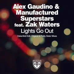 Lights Go Out (feat. Zak Waters) [Oakenfold Edit] Song Lyrics