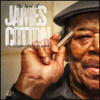 The Best of James Cotton - The Alligator Records Years - James Cotton