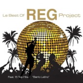 Le Best of REG Project artwork