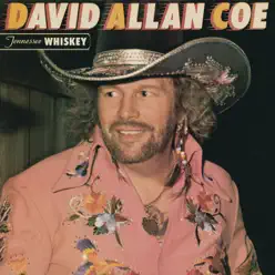 Tennessee Whiskey - David Allan Coe