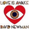 Love Is Awake