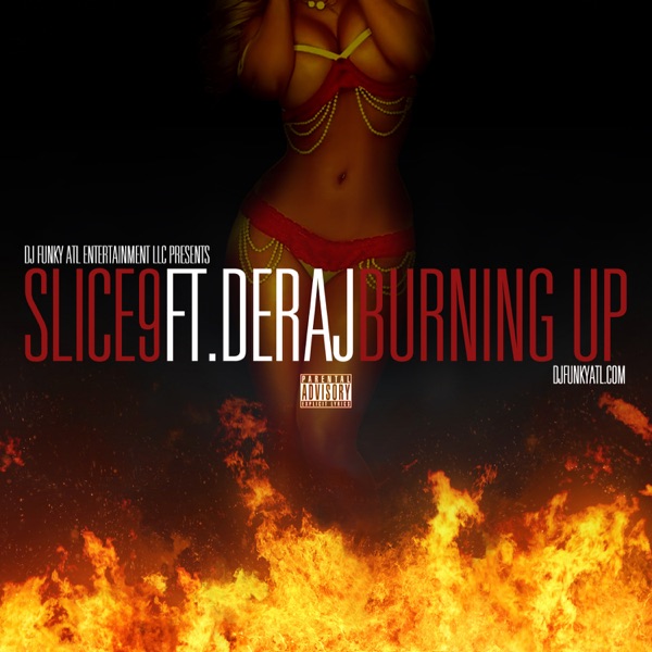 Burning Up (feat. Deraj) - Single - Slice 9