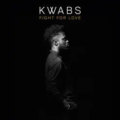 Fight for Love (Blonde Remix) [Radio Edit] - Single - Kwabs